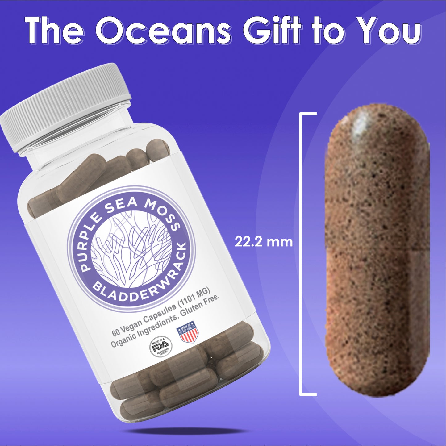 Purple Seamoss Capsules